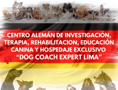 Entrevista con Siegbert Till: La Importancia de la Educación Temprana en los Perros