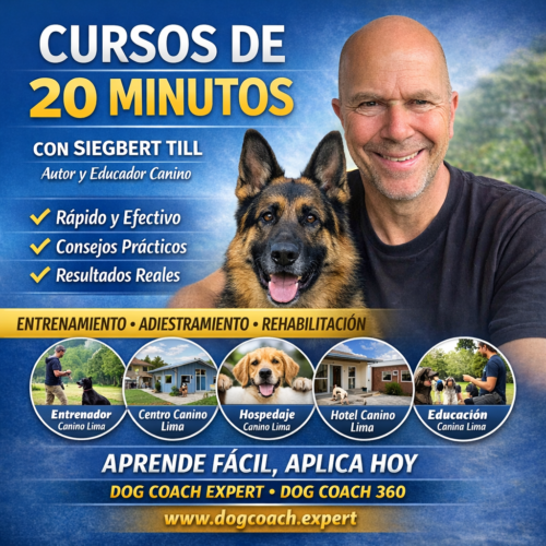 Cursos de 20 minutos de Dog Coach Expert