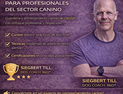 Actúa como consultor y crece con Dog Coach Expert